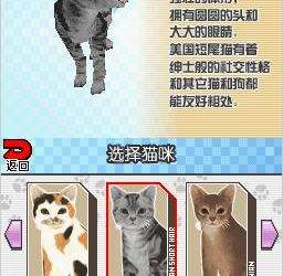 梦猫DS中文版(暂未上线)