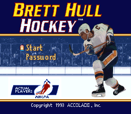 sfc游戏 冰上曲棍球95(美)Brett Hull Hockey '95 (U)