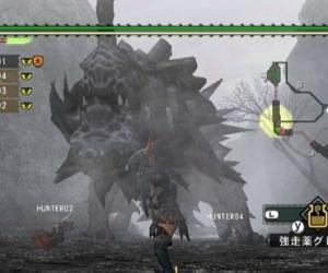 Wii《怪物猎人G》日版
