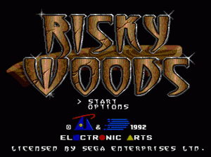 md游戏 屠魔大法师(美欧)Risky Woods (USA, Europe)