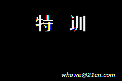 gba中文游戏 233_特训 (简) [WhoWe] [!]