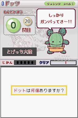 nds2.jpg