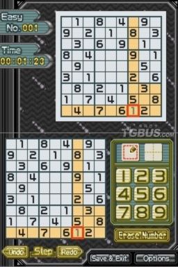 nds1.jpg
