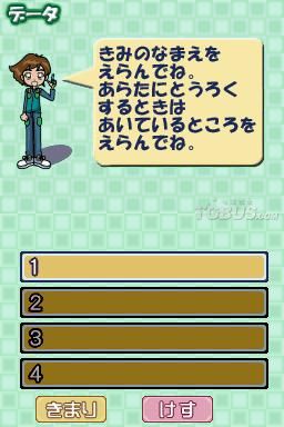 nds2.jpg