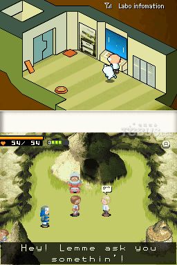 nds2.jpg