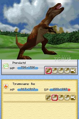 nds1.jpg