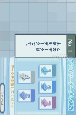 nds1.jpg