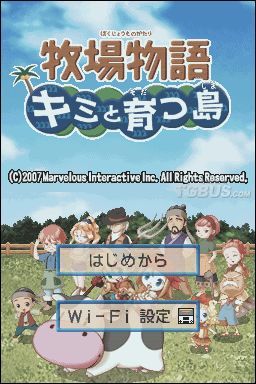 nds1.jpg