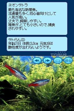 nds1.jpg