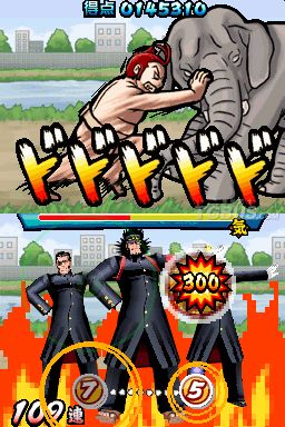 nds1.jpg