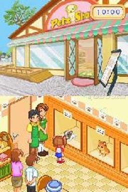 nds2.jpg