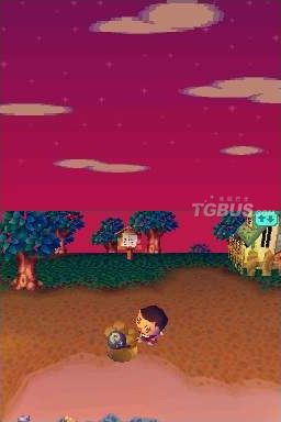 nds2.jpg