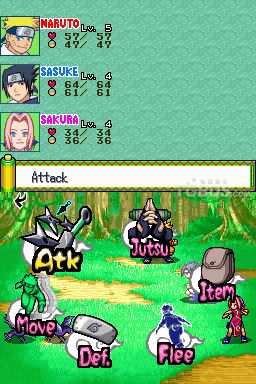 nds1.jpg