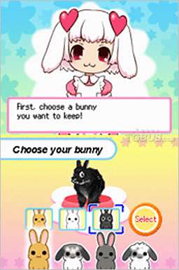 nds2.jpg