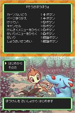 nds2.jpg
