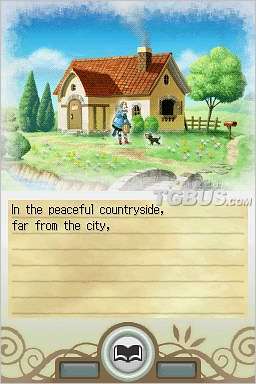 nds2.jpg