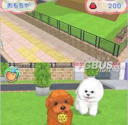 nds游戏 4809 - 可爱小狗DS3