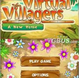nds游戏 4956 - 虚拟村庄：一个新家
