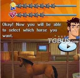 nds游戏 4917 - 幻想系列：骑师冠军