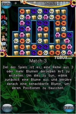 nds2.jpg