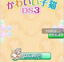 ndsϷ 5385 - ɰСèDS3