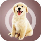 人狗交流器正版 v1.1.0