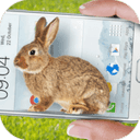 手机屏幕养兔子软件最新版