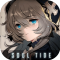 soul tide 中文版 V6.40.2