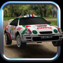 口袋拉力赛中文版 V1.4