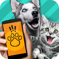 pet translator官方版 V1.1
