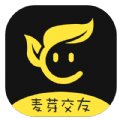 麦芽交友免费版 V1.0.7