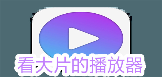看大片的播放器