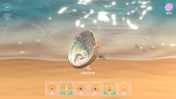Seashell中文版