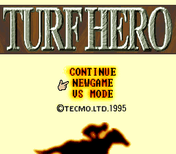 sfc游戏 赛马英雄(日)Turf Hero (J)