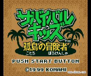 gbc游戏 0182 - 荒岛冒险 (Survival Kids - Kotou no Boukensha) 日版