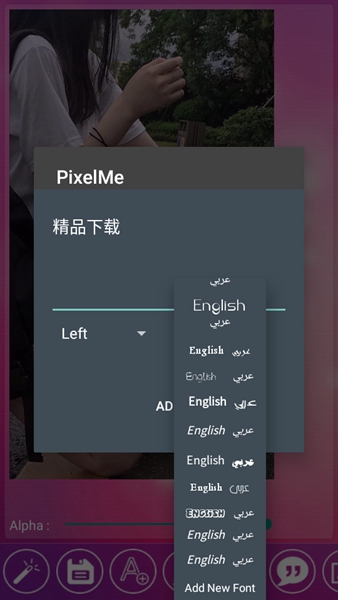 pixelme中文版
