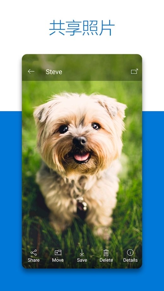 OneDrive高级版 v6.45