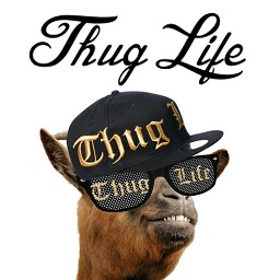 Thug Life官方版