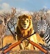 非洲丛林狩猎正版 v1.3