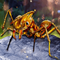 解救星际小蚂蚁最新版 v1.0