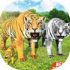 虚拟老虎家族模拟器 Virtual Tiger Family Simulator v3.7
