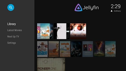 jellyfin最新版tv版